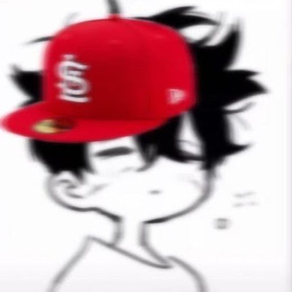 Meet your Posher, Xander - Picture 1 of 1